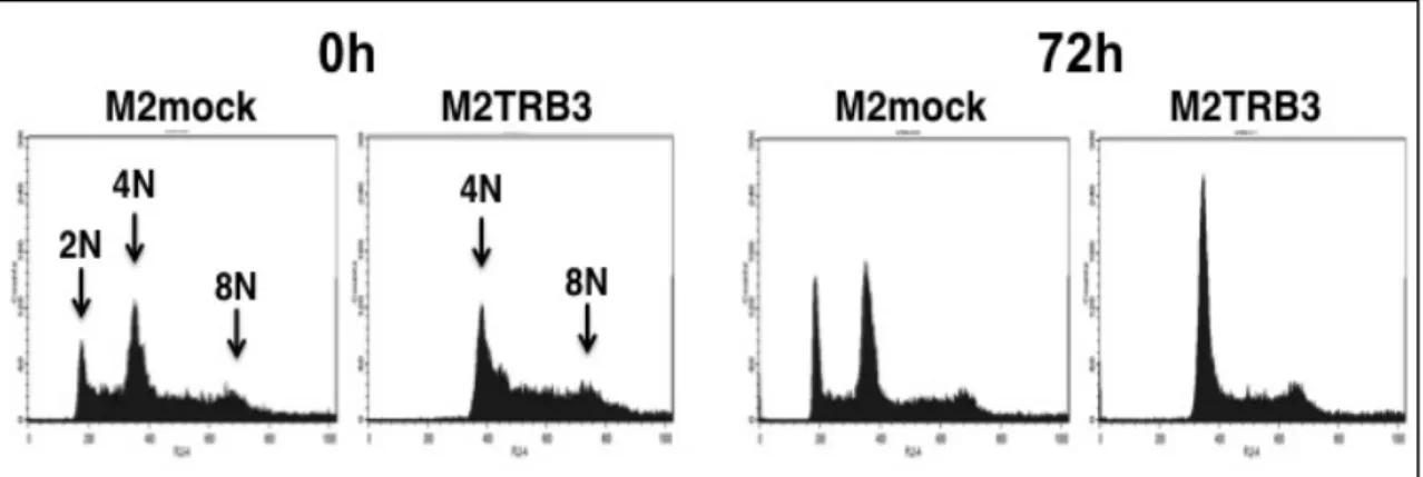 Fig.  8    Effects  of  the  TRB3  gene  on  DNA  ploidy.    Representative  results  of  the  flow  cytometric  analysis