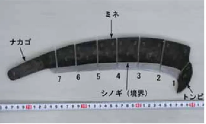図 2　断面のマクロ組織