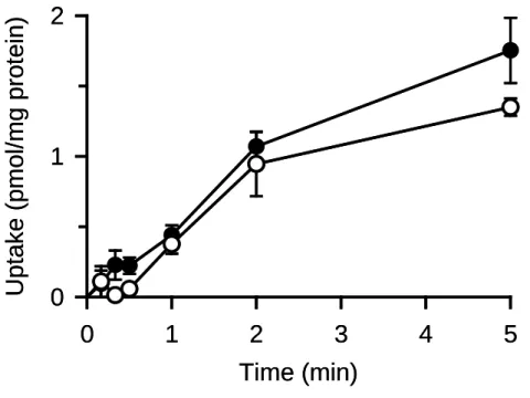 Fig. 5. Time course of urea uptake in MDCKII cells stably expressing AQP7 