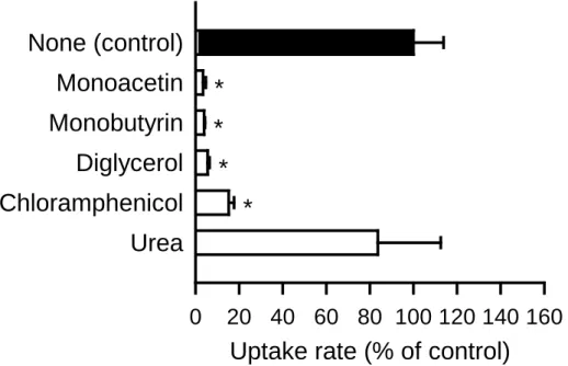 Fig.  10. Effect of various compounds on glycerol uptake by AQP7 stably expressed in  MDCKII cells 
