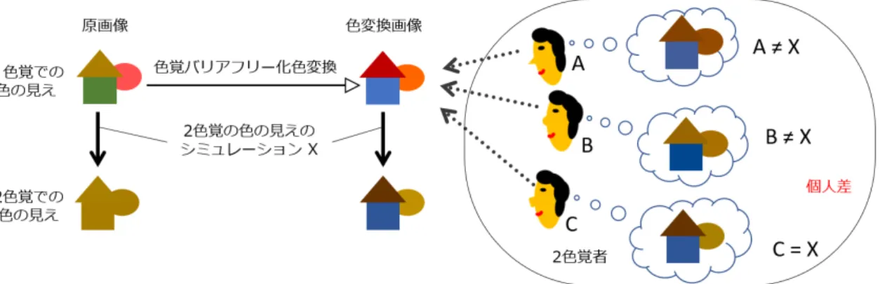 図 1.3 同じ色覚でも光刺激に対する反応には個人差がある．一般に，シミュレーションモデルは平均的な 観測者を想定して作られており，個々の 2 色覚者に適合するとは限らない． 合性の判定は（ Jiang らの実験 [43] で用いられたようなビット深度の大きいものではなく） 標準的なディスプレイで行えるべきである．しかし，そのような判定ができる手法はこれま で提案されていない． 本論文では，個々の 2 色覚者に対するシミュレーションの Θ 付近での適合性を検討する 手法を提案する．提案手法は Jiang ら