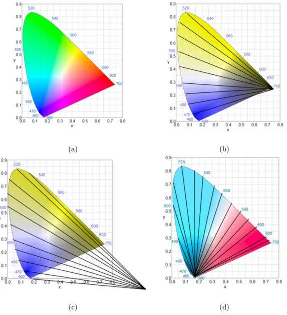 図 2.2 CIE xy 色度図と混同線 (a) CIE xy 色度図， (b) 1 型 2 色覚の混同線， (c) 2 型 2 色覚の混同線，