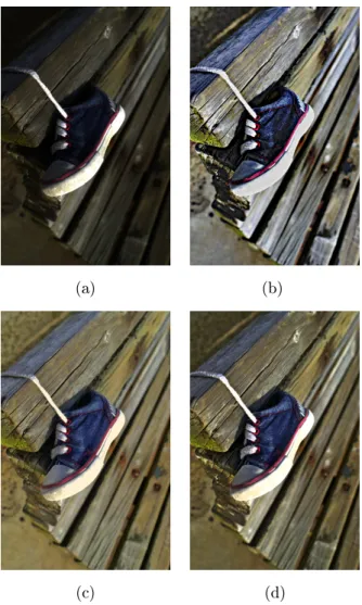 図 3.4 画像 shoe の処理結果 (a) 入力画像， (b) Jobson らの手法， (c) Wang らの手法， (d) 提案手法