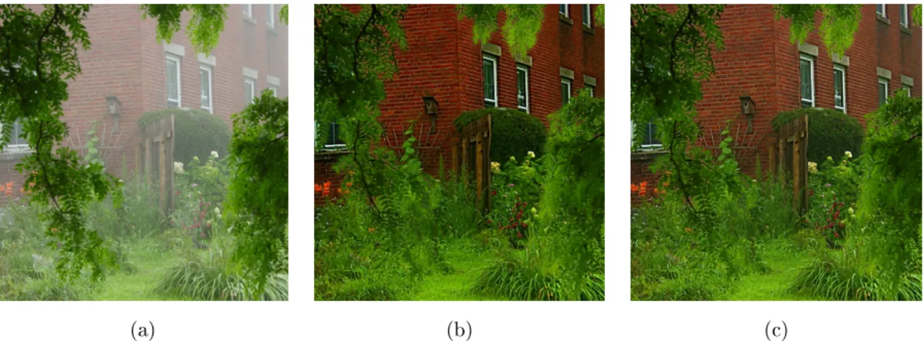 図 4.17 提案手法による画像 house のヘイズ除去結果 (a) 原画像， (b) e(V, S ) の値がピークとなる画像（ (α, β) = (0.0, 1.0) ）， (c) e(Y, S ) の値がピークとなる画像（ (α, β) = (−0.1, 1.0) ）