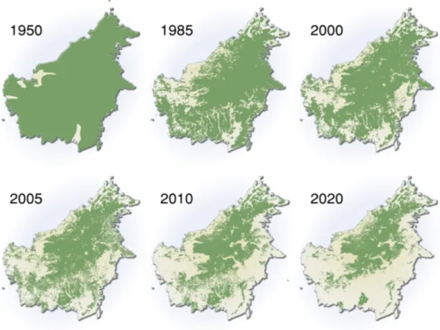 Fig. 2. A map showing the speed of deforestation in Borneo Island. The image is available  under permission from GRID-Arendal  (http://www.grida.no/graphicslib/detail/extent-of-deforestation-in-borneo-1950-2005-and-projection-towards-2020_119c)