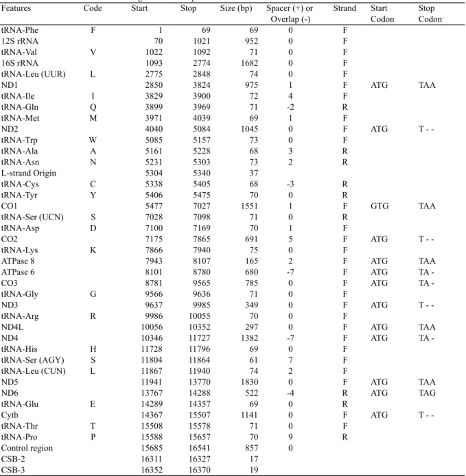 Table 7. Features of the mitochondrial genome of R. aprotaenia