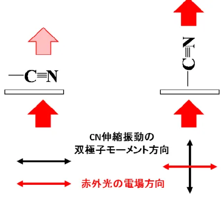 図 3.6  CN 伸縮振動（分子長軸）の赤外光吸収 