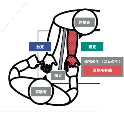 図 2-2   Rubber hand illusion (RHI) 