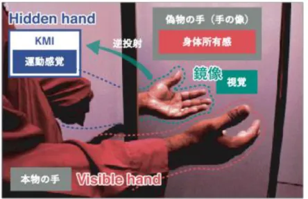 図 2-5  Mirror visual feedback (MVF) 
