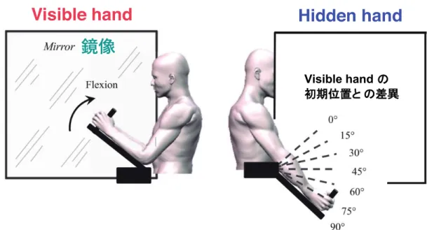 図 3-3  振動による Hidden hand の屈折に対する Visible hand の条件  Metral et al, 2015 より抜粋し, 一 改変
