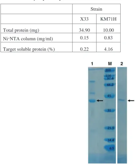 Table 1. Summary of protein purification 