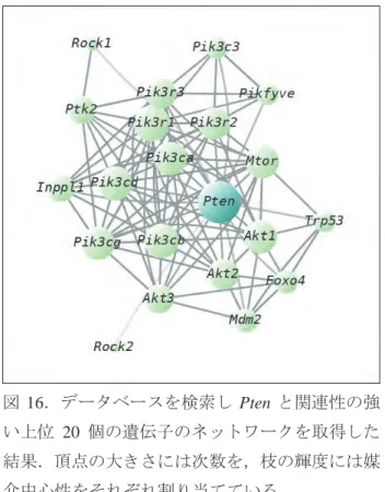 図 16 ．データベースを検索し Pten と関連性の強 い上位 20 個の遺伝子のネットワークを取得した 結果．頂点の大きさには次数を，枝の輝度には媒 介中心性をそれぞれ割り当てている． また，頂点の配置をグラフ構造から自動で計算す る手法も幾つかあるので，それらの中から適宜デ ータと目的に合ったものを選ぶ． 10．まとめ 本稿では DNA マイクロアレイデータ解析の基礎 について説明した．全体を通して言えることは， 多くの作業工程において正解と呼べる手順はい まだ確立しておらず，解析者は日々難しい選択を