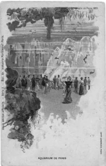 Fig. 10   A postcard of the aquarium at the Exposition Universelle (Collection of the  author)