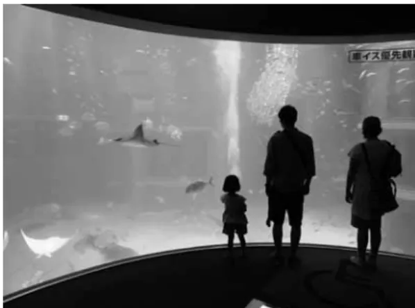 Fig. 15   The  ʻPacific  Ocean  tankʼ  of  the  Kaiyukan  (Photographed  by  the  author. 