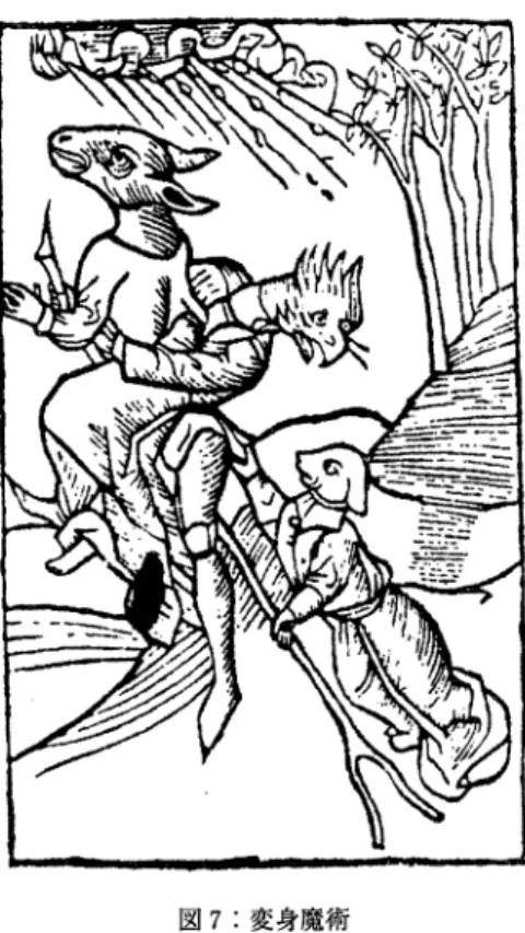 図 7 ：変身魔術 行いました。この魔女狩り委員会は共同体と裁判所双方から権威づけら れており、十分な証拠が集まると正式に魔女告発に踏み切りました 3 2 。 なお前述のベーリンガーは、個人が原告となって訴訟を起こすことは、 裁判で逆に被告となったり、いわゆる「魔女の仕返し」を受けるリスク が伴ったため、しり込みするのが通常であったと見ています 3 3 。さらに 3 2  上山／牟田 1 9 9 7 年 、 2 2 3 ページ以下参照。