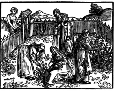 図 1 ：薬草の庭 にキリスト教は、魔女が神の国を滅ぼそうとしている悪魔の手先として 集団的に存在し、土着の豊饒儀式は害悪魔術であるという神学理論を唱 え、これまで魔術を操ってきた女性たちのみならず、一般の女性たちも 魔女であり得ると主張し魔女狩りを推奨しました 1 8 。頃は 15 世紀後半、 本格的な魔女裁判の幕開けとともに、民俗的な魔女信仰と教会の教理上 の魔女のイメージが合体して、キリスト教公認の新しい魔女像が誕生し た訳です 1 9 。以後ヨーロッパの魔女類型として定着したのは、悪魔との 契約、悪