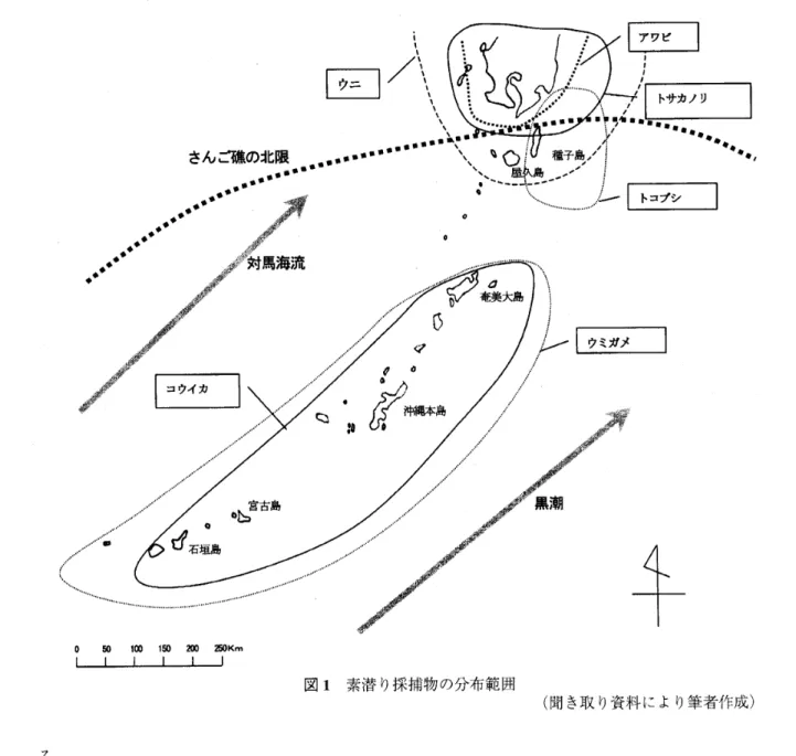 図 1 素潜り採捕物の分布範囲 （聞き取り資料により筆者作成） る 。 全体的に素潜りのような体力的にきつく，海水の冷たさが身体にこたえるというような漁は嫌 われつつあり，ますます素潜りは減少するという見通しである。しかしサンゴ礁のイノーでは採 捕物の種類が多く魅力のある漁榜であるので，今後も存続するものと考えられる。また本土の宮 崎県串間市や鹿児島県阿久根市では，デントウモグリをする漁民は現在いない，サンゴ礁のイノ ーの見られない地域では，もともと魚は釣り・網で獲るものと思っているので，夜型の生活をし て