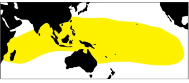 Fig. 2-1. Distribution of Scaevola taccada (Gaerth.) Roxb. (Yellow area) 
