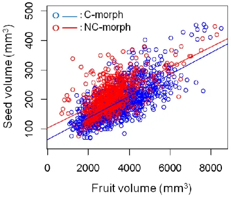 Fig. 4-3. Relationship between the seed volume and the fruit volume of two morphs of Scaevola  taccada (Gaerth.) Roxb