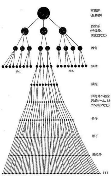 図 2  ケストラーによる有機的ヒエラルキー（ホラーキー）の図解 