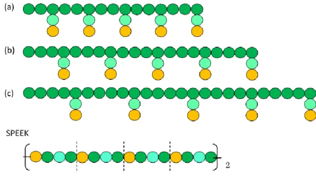 Figure 15.  Nafion ポリマーと SPEEK の DPD 粒子モデル。セグメントサイズは約