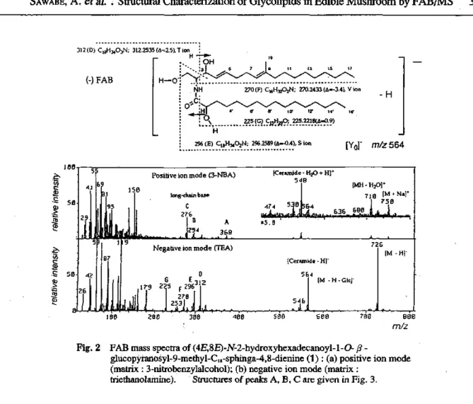 Table   I. Determination  of  the  exact  mass  of  molecular  ion  and  fragment  ions  of  compound  1 Observed  mass (error, m.m.u.) 