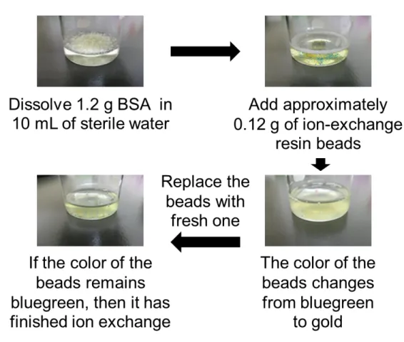Figure 1. Preparation of d-BSA.   