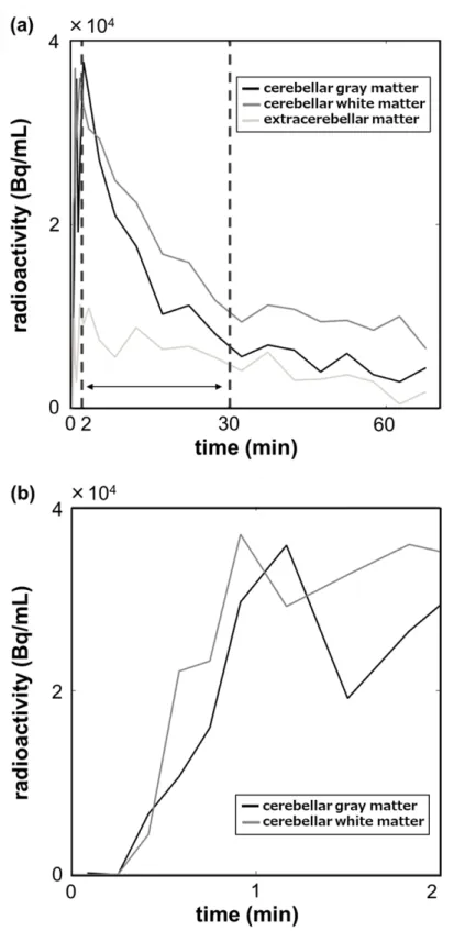 Figure 7: 小脳領域抽出をする際に用いる各組織 ( 黒線 : 小脳灰白質、濃灰線 : 小脳白質、薄 灰線 : 小脳以外の脳外領域 ) における tTAC の波形の違いと時間との関係。 (a) tTAC の全景。