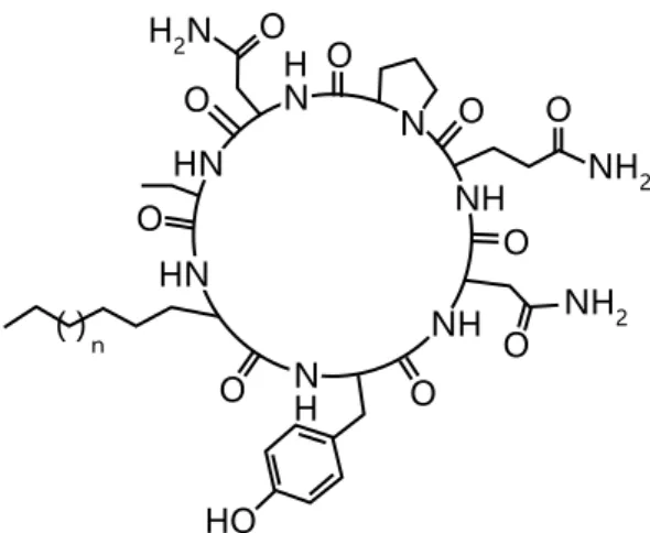 図  9  iturin A の基本構造。 脂肪鎖の長さと構造が異なるホモログが存在する。
