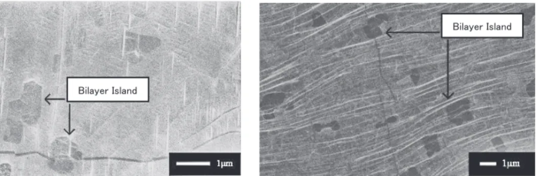 Fig. 3.2. SEM images of single/double layer graphene on Cu foil [25] . 