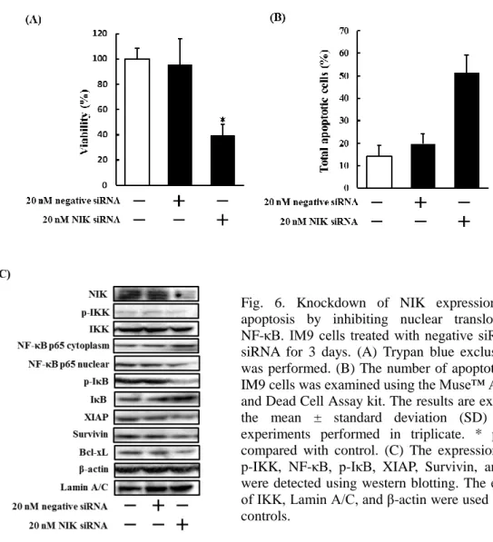 Fig.  6.  Knockdown  of  NIK  expression  induces  apoptosis  by  inhibiting  nuclear  translocation  of  NF-κB