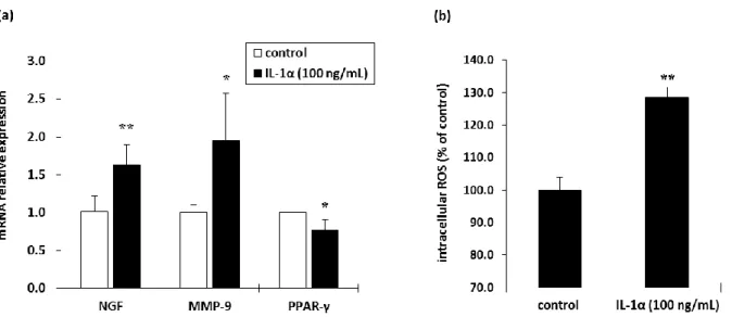 Figure 2-3. Influence of IL-1α on (a) the mRNA expression levels of NGF, MMP-9 and PPAR-γ and    (b) the intracellular ROS level in NHEKs