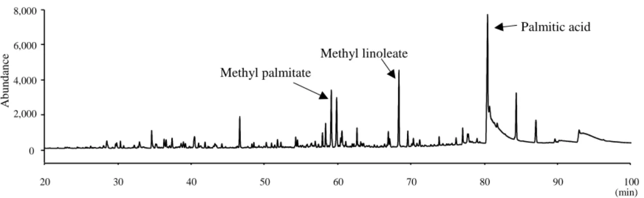 Figure 8: Total ion chromatogram of EO from P. japonicus. 