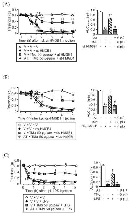 Fig. 3 Argatroban (AT), a thrombin inhibitor, abolishes the suppressive effect of i.pl
