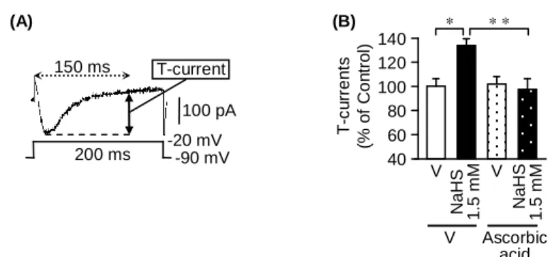 Fig.  1.  NaHS-evoked  facilitation  of  T-type  Ca 2+   channel-dependent  currents  (T-currents)  and  its  reversal  by  ascorbic  acid  in  undifferentiated  NG108-15  cells