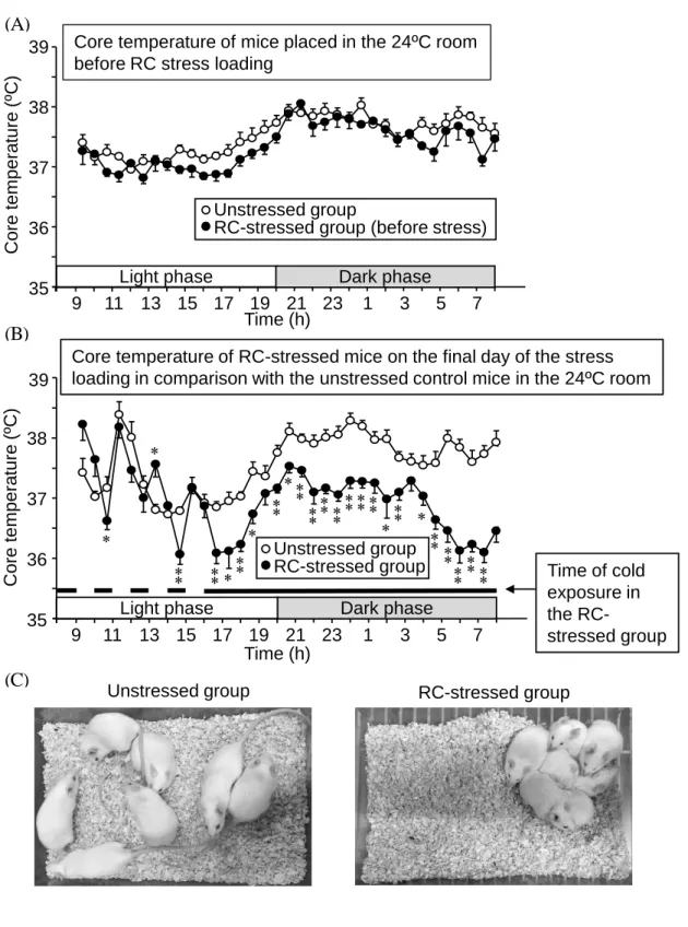 Fig. 6.    Circadian fluctuations of core temperature in RC-stressed and unstressed mice