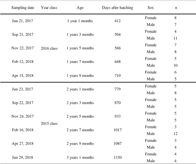 Table 1  Number of male and female, sampling date, year-class, age fish and days after  hatching of the sampled Seriola dumerili 