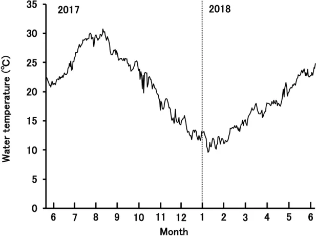Fig. 1 Changes in the water temperature in 3 m depth of the sea net-cages in Tanabe bay  during sampling period