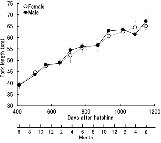 Fig. 2 Fork length of the sampled 1, 2 and 3-year-old male and female  Seriola dumerili 