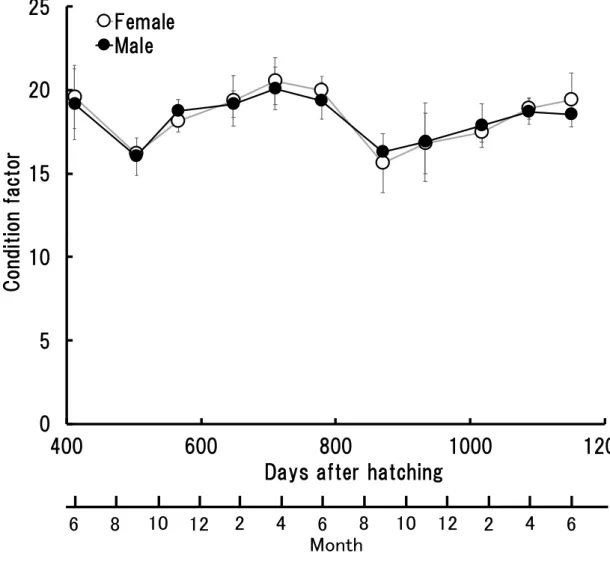 Fig. 4 Condition factor of the sampled 1, 2 and 3-year-old male and female  Seriola  dumerili 