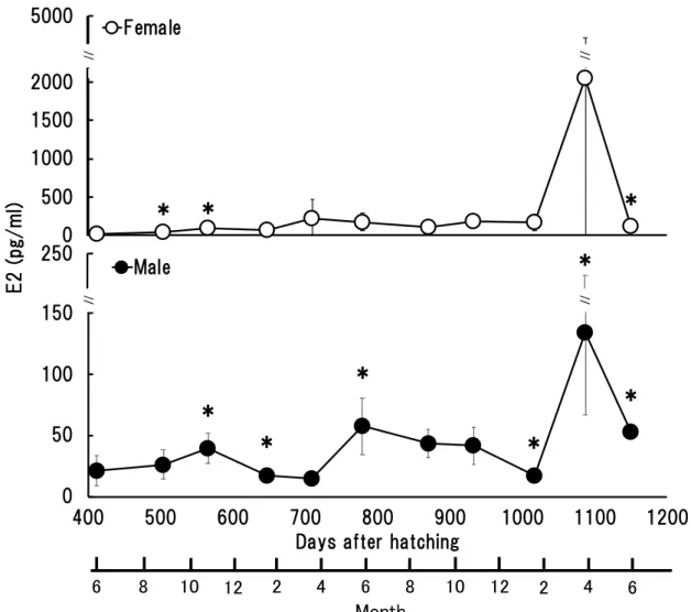 Fig. 8 Plasma E2 concentration of the sampled 1, 2 and 3-year-old male and female  Seriola dumerili 