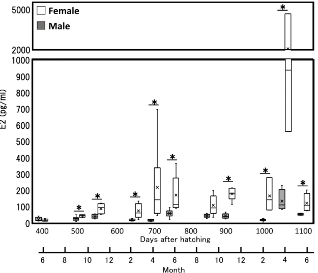 Fig. 11  Plasma E2 concentrations  of the sampled 1, 2 and 3-year-old  male (shaded boxes) and  female (open boxes) Seriola dumerili
