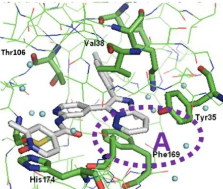 Figure 9. X-ray crystal structure of the complex of 15a bound with p38 MAP kinase (PDB code 5WJJ)