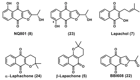 Figure 23. Tabebuia avellanedae に含まれる代表的なナフトキノン 