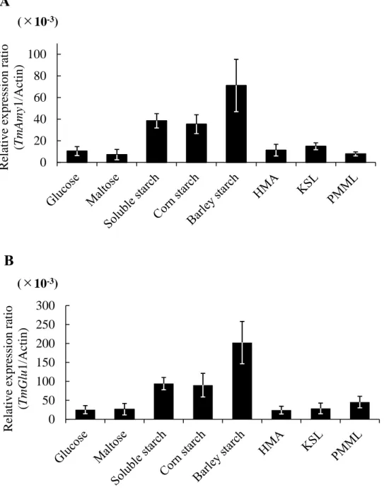 Fig. 1. Effect of different media on the starch-degrading gene expression levels in T