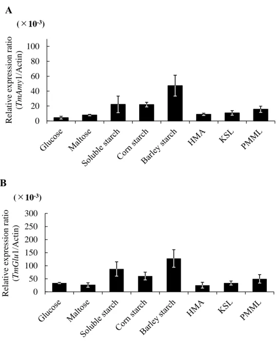 Fig. 2. Effect of different media on the starch-degrading gene expression levels in T