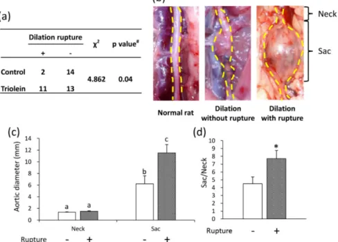 Figure 5 Effects of triolein administration on AAA rupture and aortic diameter. (a) Effect of  triolein administration on AAA rupture ratio