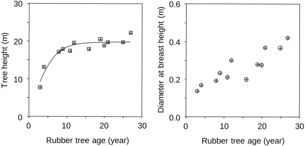 Figure 2.2 Changes in the height (H) and diameter at breast height (D) of Hevea brasiliensis  in  relation  to  their ages  at  the study site