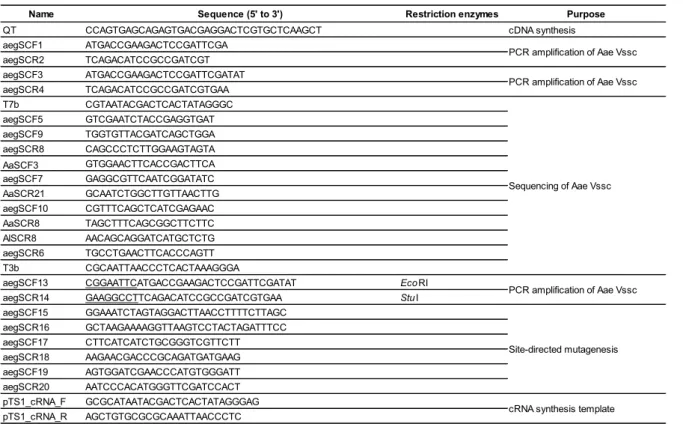 Table 1-1. Primer sequences used in this study. 