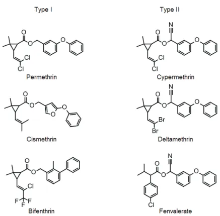 Figure 2. Chemical structures of Type I and Type II pyrethroid insecticides. 